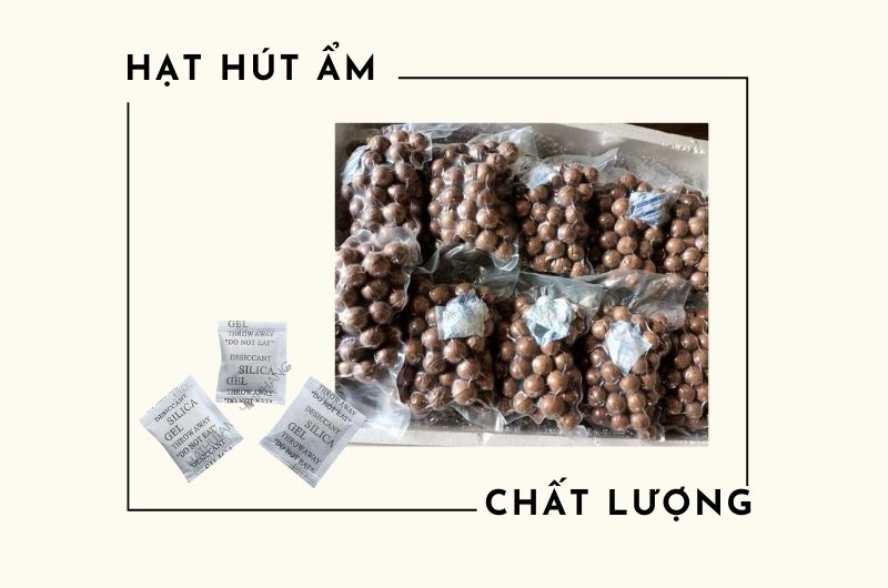 tui hat am chinh hang 3 Túi chống ẩm