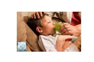 Hạt Hút ẩm Chính Hãng