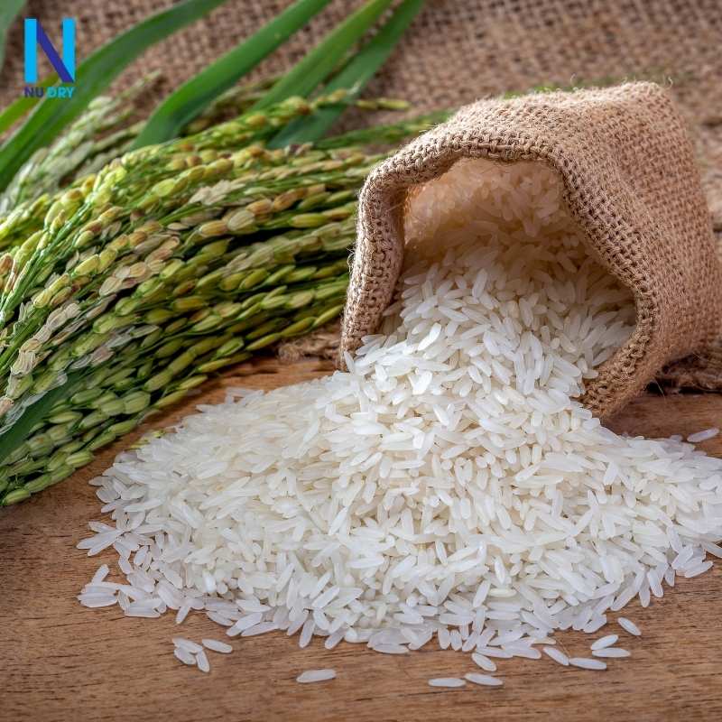 Sử dụng gạo hoặc muối