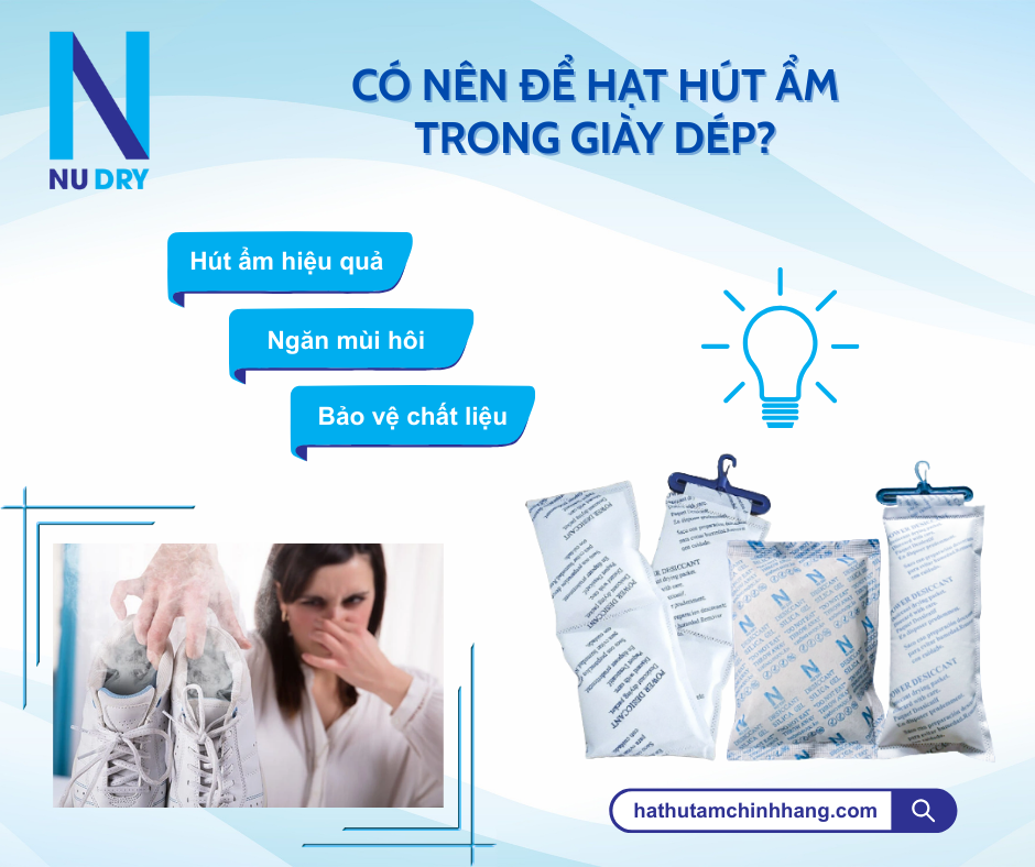 Có nên để hạt hút ẩm trong giày không