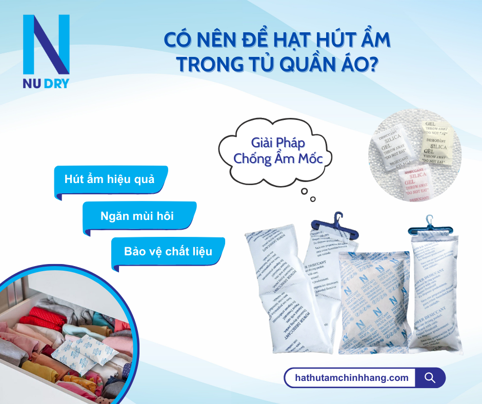 Có nên để hạt hút ẩm trong giày không