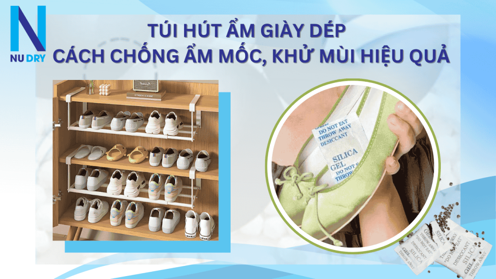 BLOG SEO HAT HUT BUI 10 1 BLOG SEO HAT HUT BUI 10 1