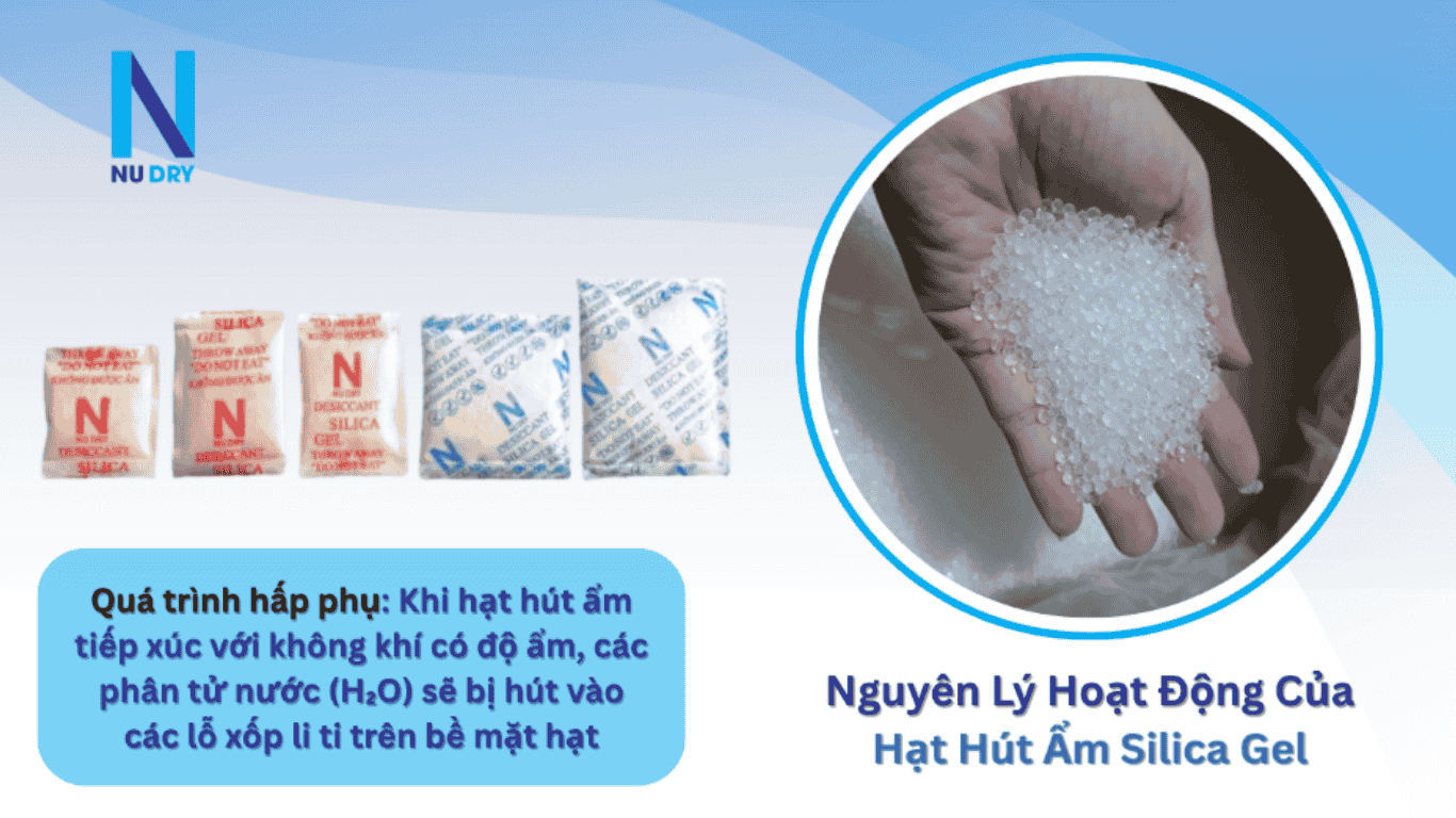 Nguyên lý hoạt động của Hạt hút ẩm Silica Gel