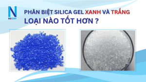 BLOG SEO HAT HUT BUI 2