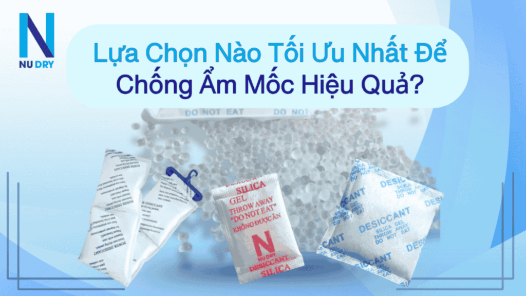 BLOG SEO HAT HUT BUI 7 1 BLOG SEO HAT HUT BUI 7 1