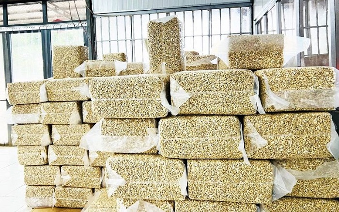 Cách bảo quản hạt điều trongg kho