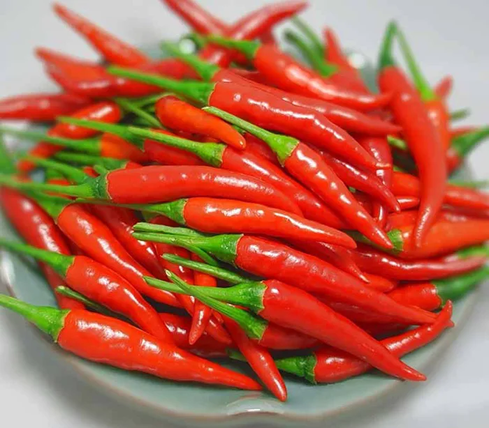 Chong mot gao bang ot Chống mọt gạo bằng ớt