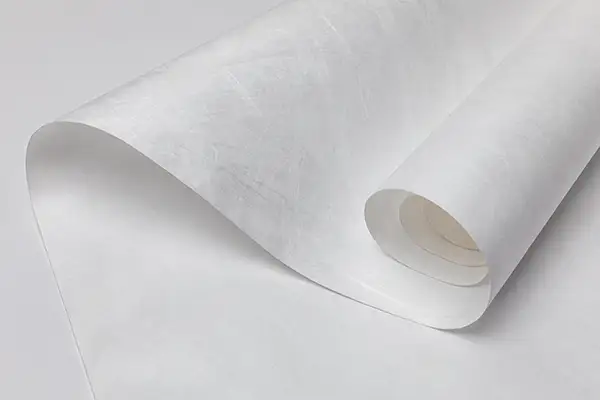 Giấy Tyvek